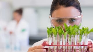 female scientist with young plants at the laboratory female scientist with young plants at the laboratory
