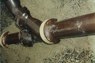 Damaged sewer