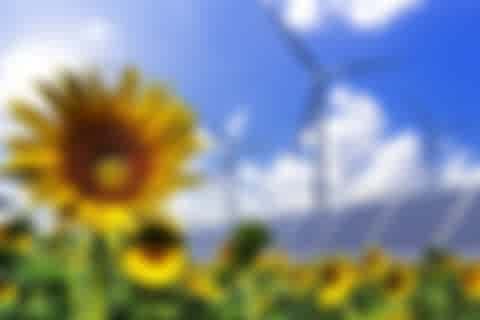 Sonnenblumen, Solarfelder und Windkraftanlagen