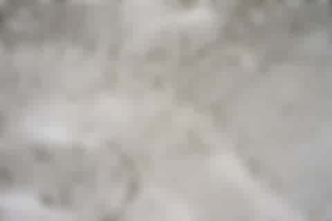 Cement Cement