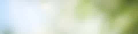 Green Background Green Background