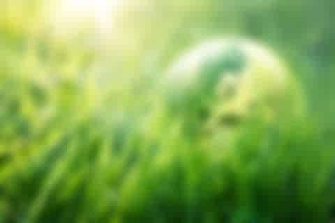 Erdball im Gras Erdball im grünen Gras